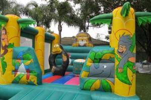 jungle-3-300x225 jungle-3-300x225