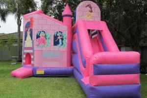 princess-1-300x225 princess-1-300x225