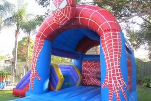 spiderman-1-300x225 spiderman-1-300x225
