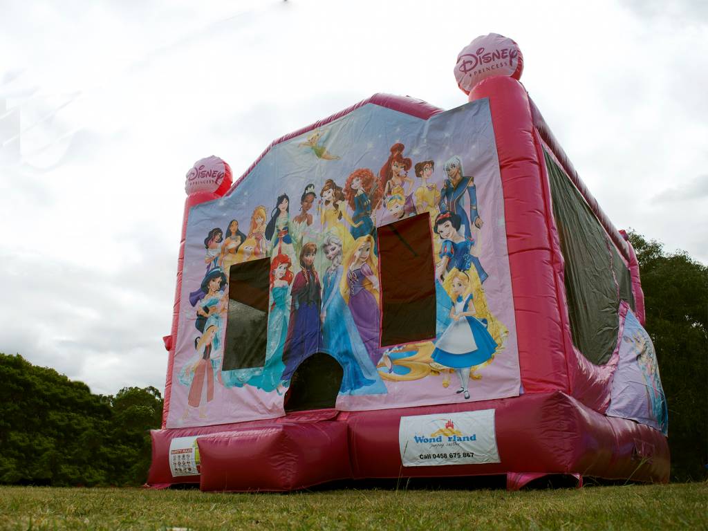 Pink Disney Princess jumping castle hire