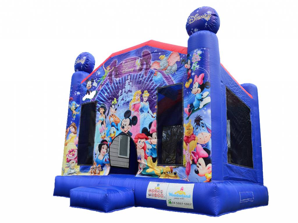 Small Disney character jumping castle