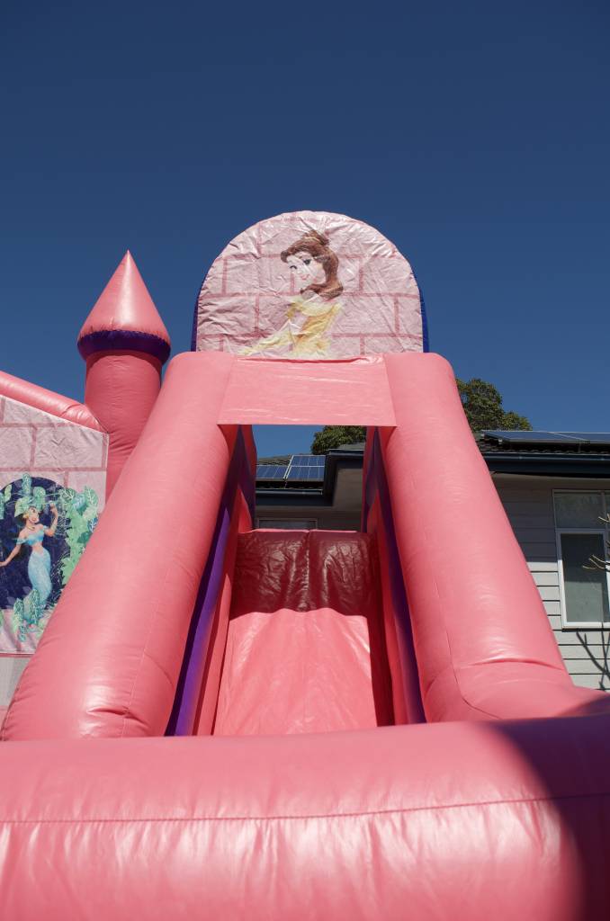 Pink Disney Princess jumping castle slide