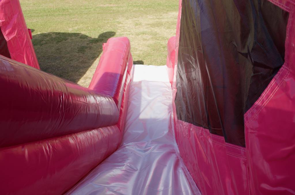 Disney Princess Jumping Castle Hire and Slide Wonderland Jumping Castles