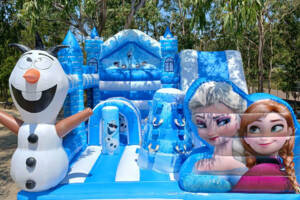 frozen #1